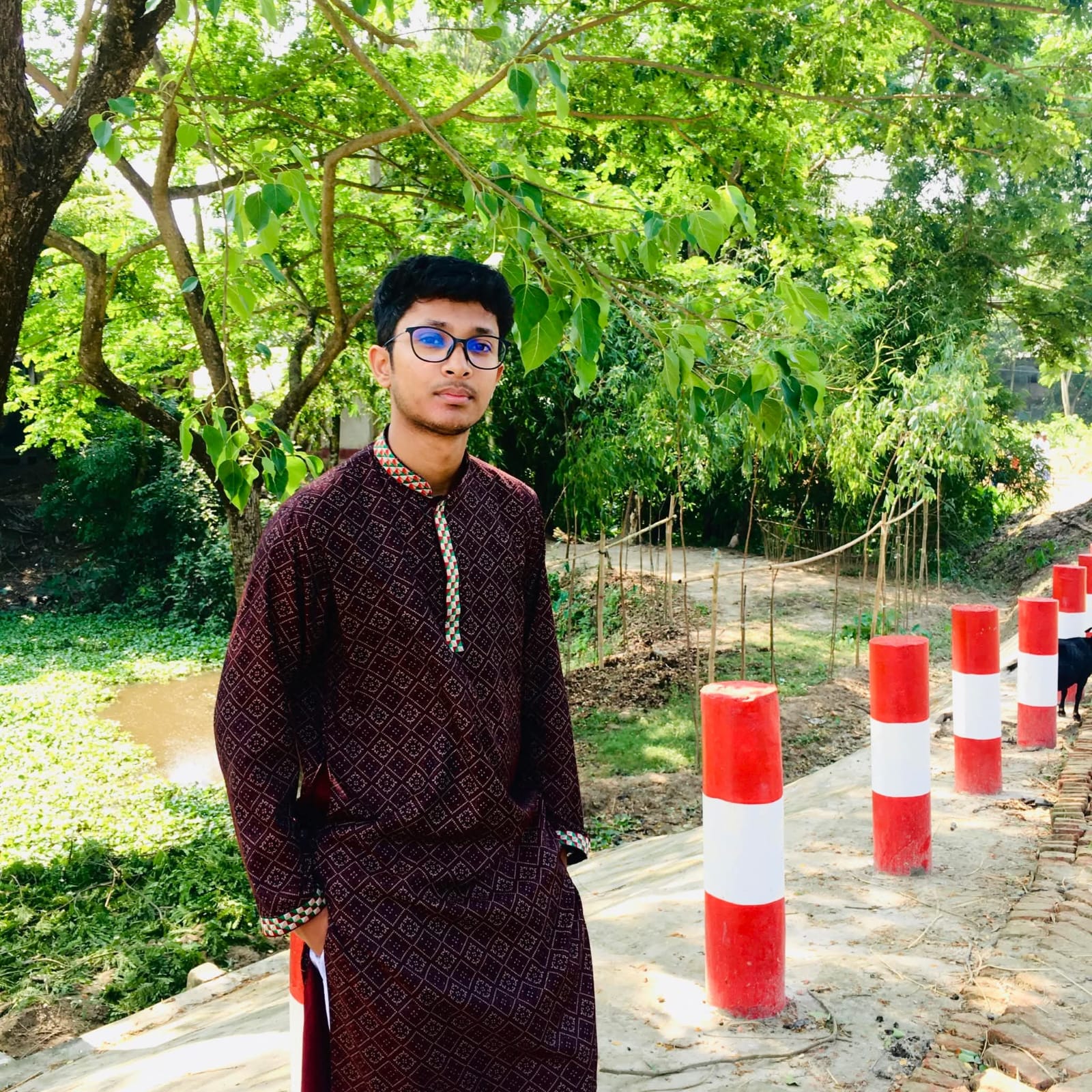 Sayed ahmmed